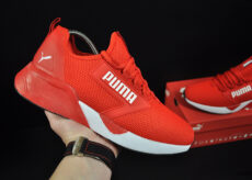 puma