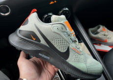 Nike Pegasus Trail 3