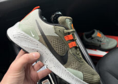Nike Pegasus Trail 3
