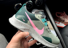 Nike Pegasus Trail 3