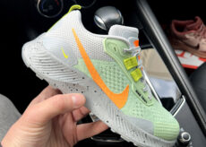 Nike Pegasus Trail 3