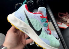 Nike Pegasus Trail 3