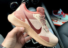 Nike Pegasus Trail 3