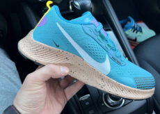 Nike Pegasus Trail 3