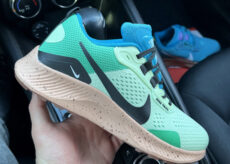 Nike Pegasus Trail 3