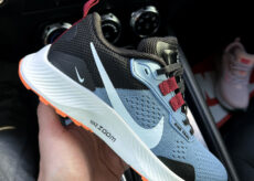 Nike Pegasus Trail 3