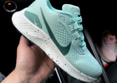 Nike Pegasus Trail 3