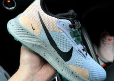 Nike Pegasus Trail 3