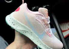 Nike Pegasus Trail 3