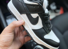 Nike SB Dunk Low